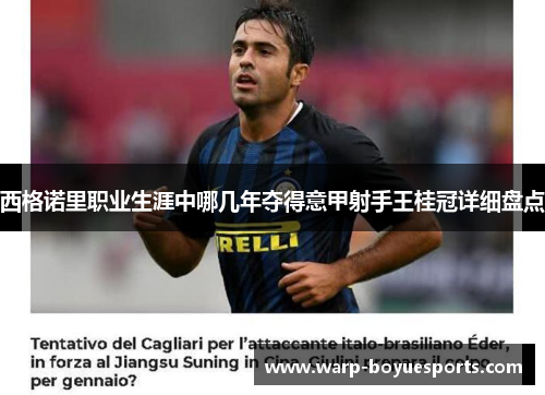 西格诺里职业生涯中哪几年夺得意甲射手王桂冠详细盘点 西格诺里职业生涯中哪几年夺得意甲射手王桂冠详细盘点