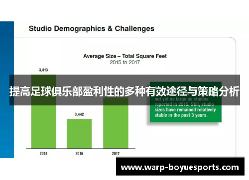 提高足球俱乐部盈利性的多种有效途径与策略分析